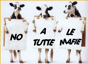 NO A TUTTE LE MAFIE